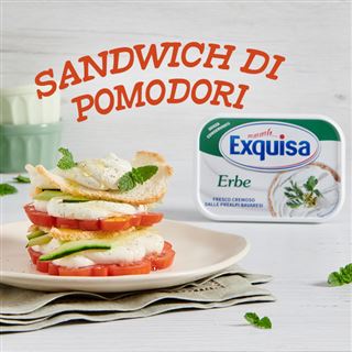 Sandwich di pomodori e cetrioli, pane tostato e Erbe Fresco Cremoso dalle Prealpi Bavaresi