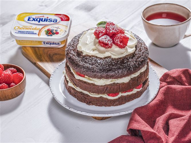 Torta al cacao e gocce di cioccolato con lamponi